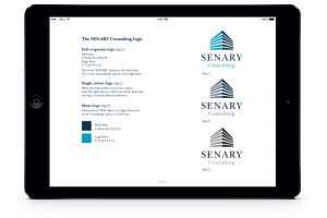 Senary-branding-guidelines