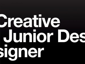 Junior Designer wanted